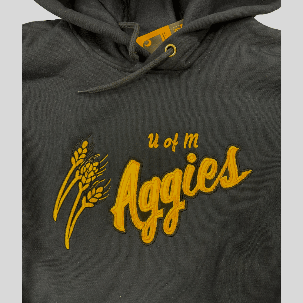 Aggies Carhartt Pullover Hoodie - Image 11