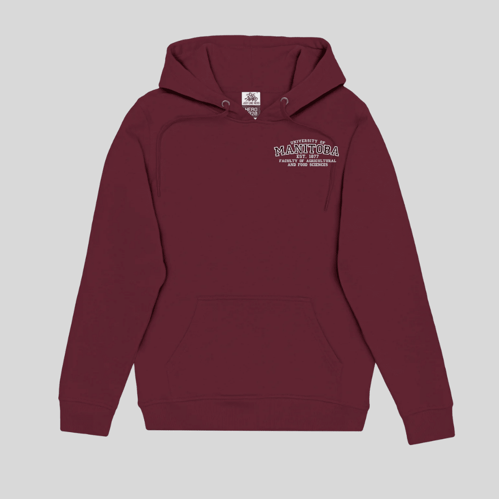 FAFS Varsity Embroidered Pullover Hoodie - Image 8