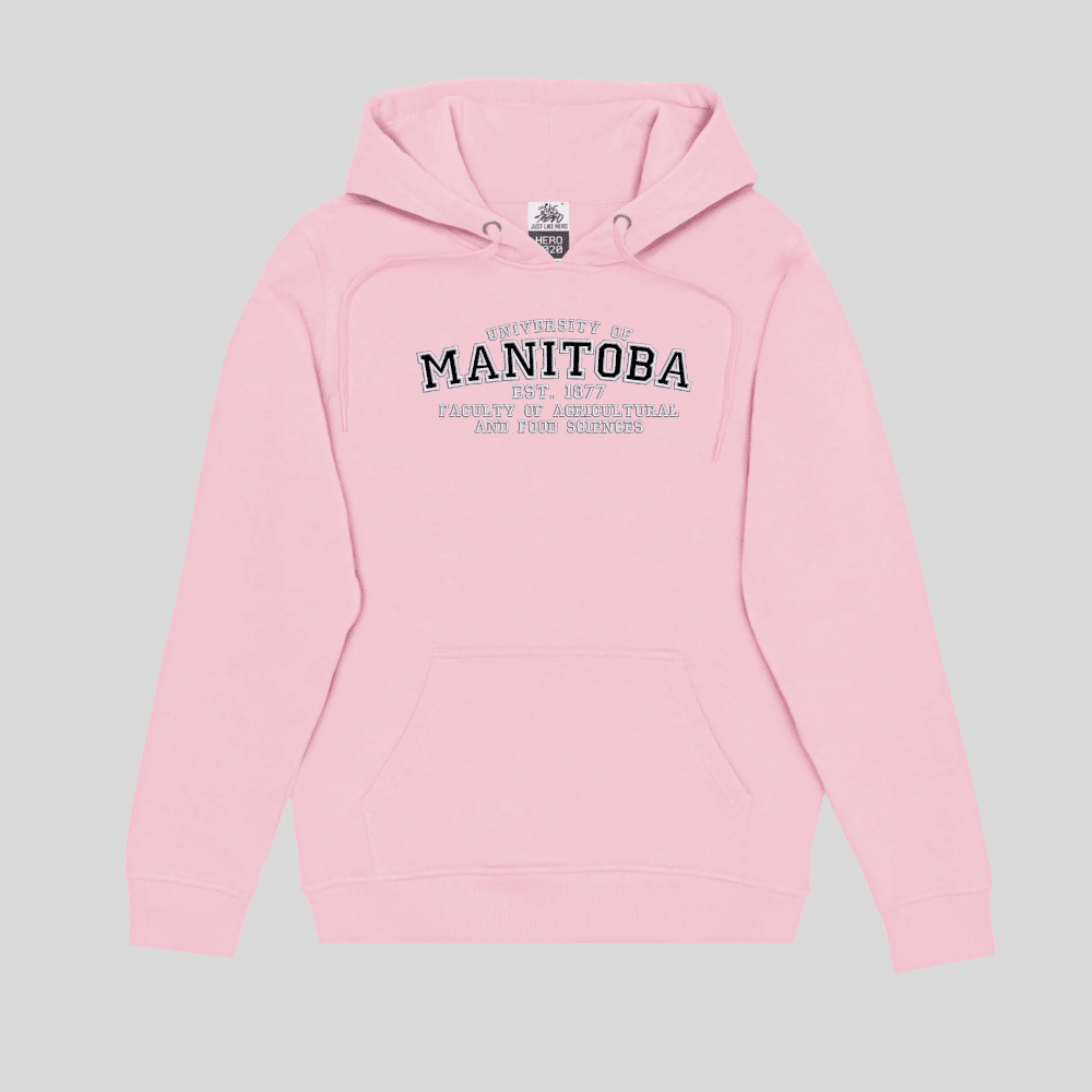 FAFS Varsity Embroidered Pullover Hoodie - Image 11