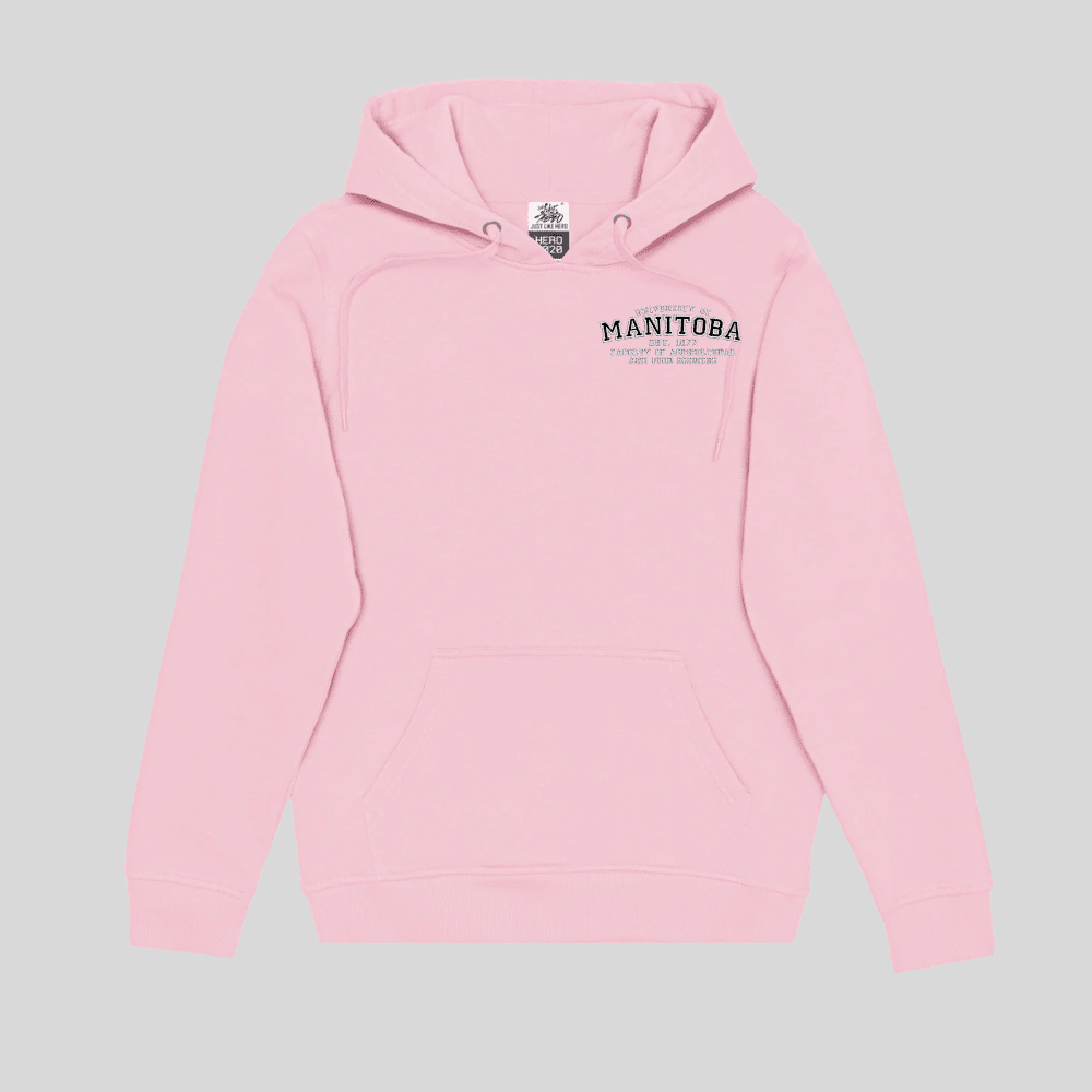 FAFS Varsity Embroidered Pullover Hoodie - Image 12