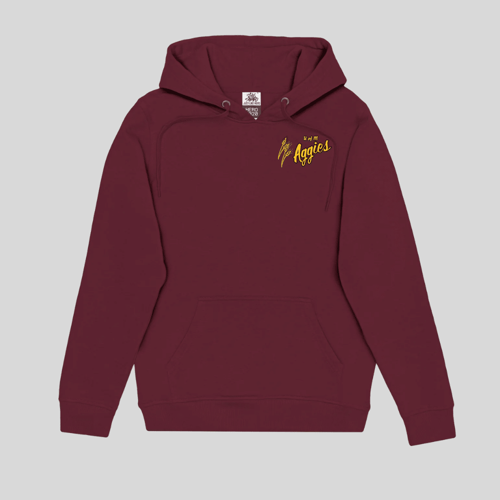 Aggies Embroidered Pullover Hoodie - Image 8