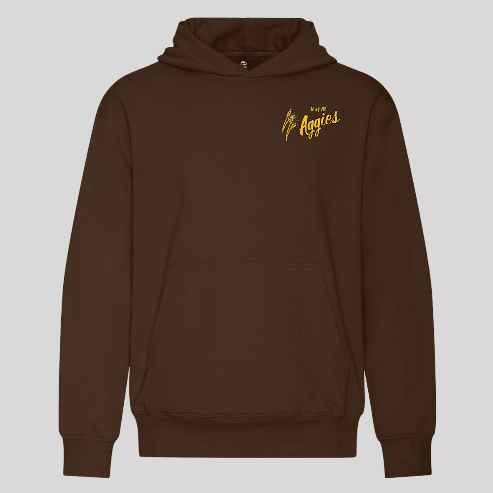 Aggies Embroidered Pullover Hoodie - Image 10