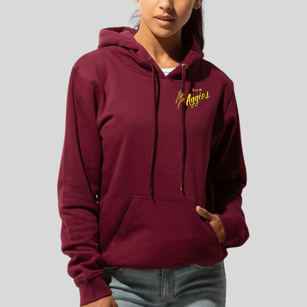 Aggies Embroidered Pullover Hoodie - Image 13